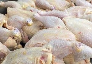 مرغ در بازار خوزستان سقوط کرد