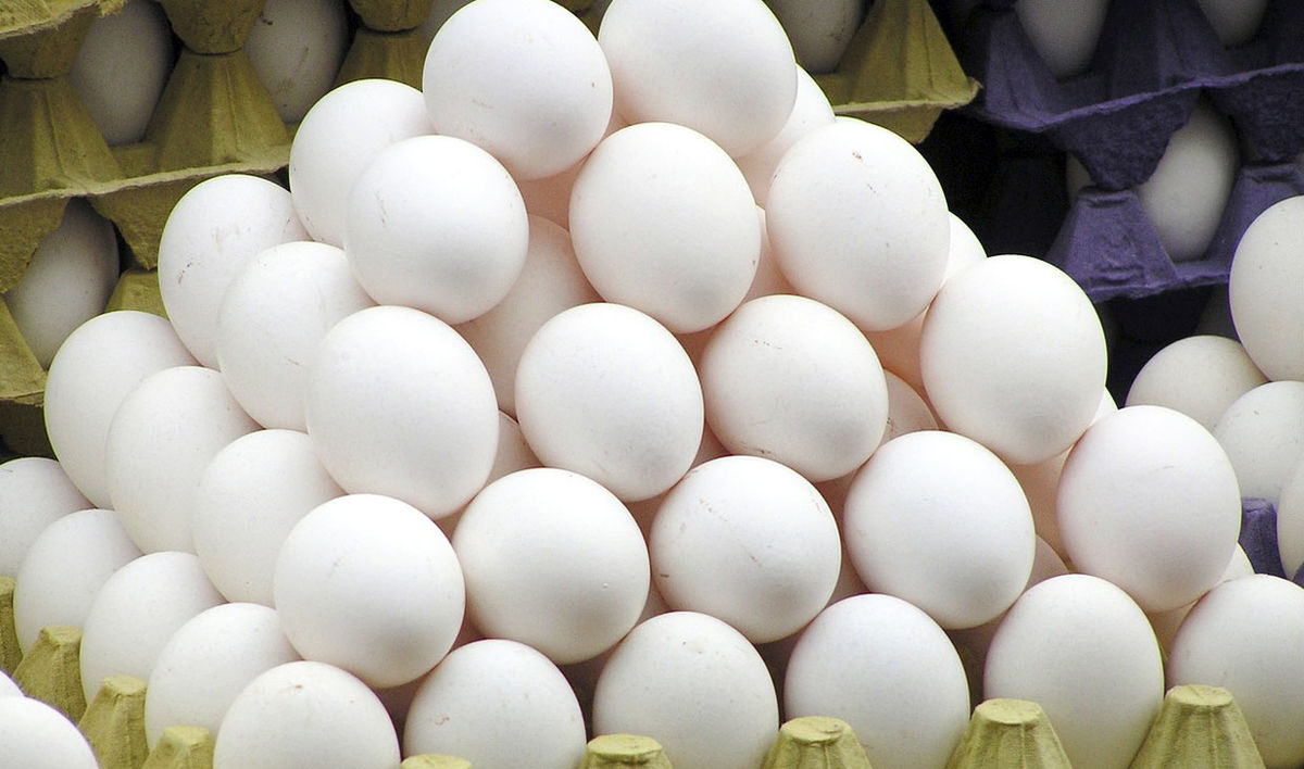 جمع‌آوری ۴۰۰ تن تخم‌مرغ مازاد از سطح بازار