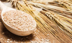 جولان دلالان این بار در بازار خرید سیب زیر درختی + فیلم