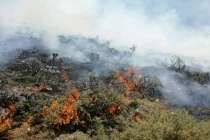 آتش سوزی در کوه‌های گردنه قوچک لواسان