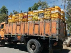 ۱۰ تن مرغ قاچاق در سیروان کشف شد