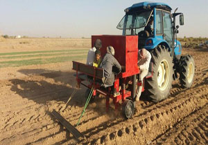 اختصاص ۱۰ میلیون لیتر سوخت برای ادوات کشاورزی خراسان شمالی