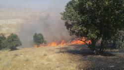 فیلمی از آتش‌سوزی جنگل در بخش چوار