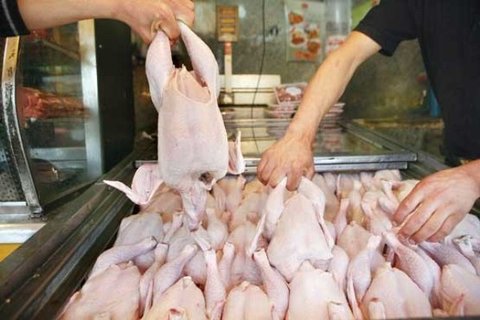 ثبات نرخ مرغ در بازار/ تاخیر در اعلام نرخ مصوب مرغداران را سردرگم کرده است