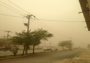 پایش کانون‌های گرد و غبار هامون سابوری /‍  احیای پوشش گیاهی منطقه بش دلبر در سیستان