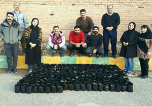 کاشت ۱۱ هزار گلدان دو بذری بلوط در شهرستان مهاباد