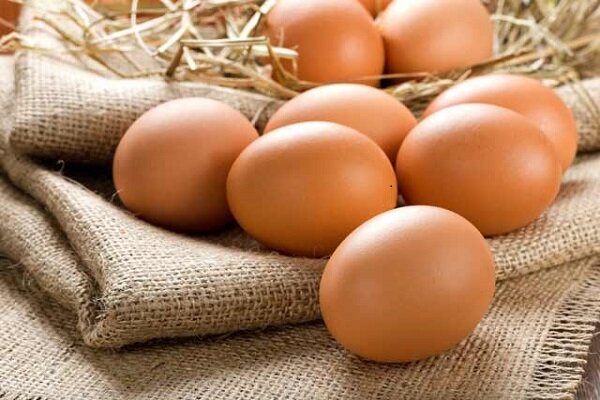 افزایش یک هزار تومانی نرخ تخم مرغ در بازار/۶۰۰ تن تخم مرغ مازاد از سطح بازار جمع آوری شد