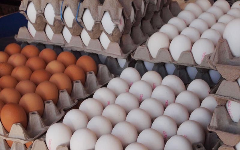 مازاد تولید بر افت قیمت تخم مرغ در بازار دامن زد/ قیمت هر کیلو تخم مرغ ۶ هزار و ۴۰۰ تومان