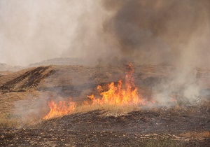 مهار آتش سوزی در زمین‌های کشاورزی ناغان