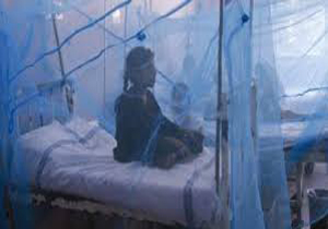 ۴۰ نفر بر اثر تب دنگی در بنگلادش جان خود را از دست دادند