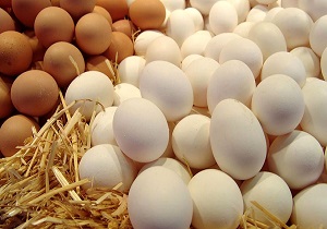 کشف ۴۶ تن تخم مرغ بی نام و نشان در دزفول