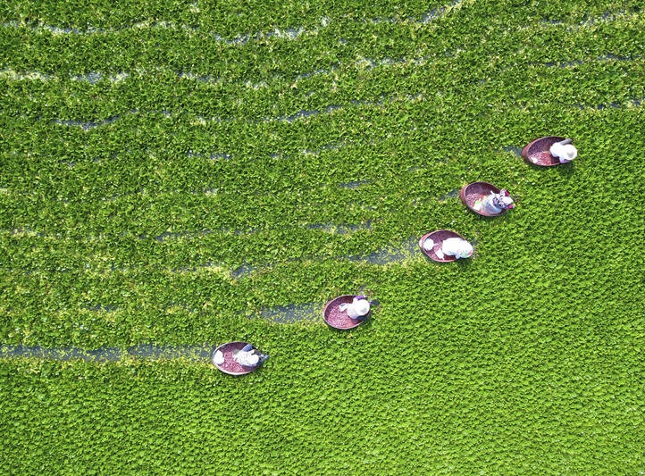 تصویر هوایی دیدنی از یک مزرعه