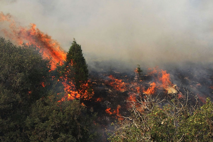 مهار آتش سوزی جنگل های لمیر آستارا