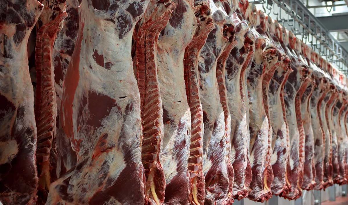 تولید ۶۸ هزار تن گوشت قرمز در بهار امسال