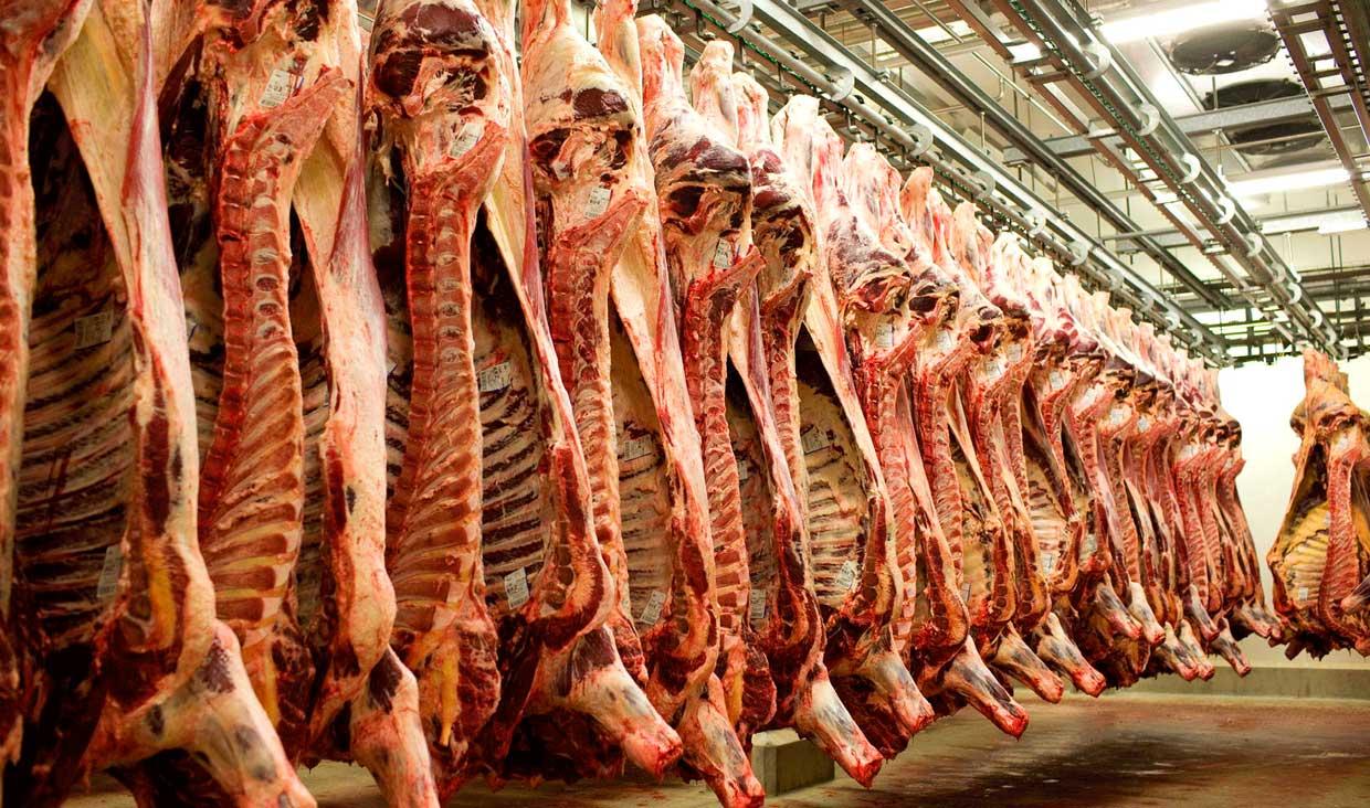 میدان داران اجازه کاهش قیمت گوشت را نمی‌دهند/نرخ هر کیلو دام زنده ۴۹ هزار تومان