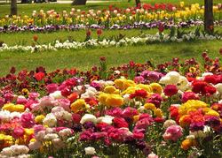بهره برداری از باغ گل‌ها در همدان