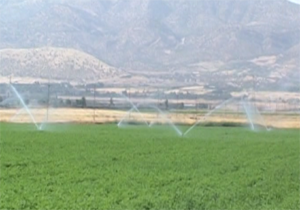 تجهیز ۵۱ هزار هکتار از اراضی کشاورزی استان به سیستم آبیاری نوین