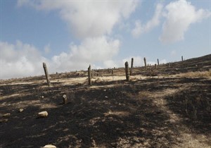 جدال باد و آتش در محوطه تاریخی خالد نبی / تلاش برای خاموشی آتش ادامه دارد