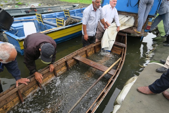 رهاسازی بیش از ۸۳ هزار قطعه بچه ماهی در تالاب بین المللی انزلی