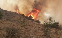 چند هکتار از اراضی جنگل های ارسباران درآتش سوختند؟/ بررسی‌ها برای عمدی یا غیرعمدی بودن آتش سوزی ادامه دارد