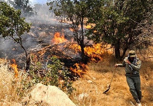 وقوع ۸ مورد آتش‌سوزی در مناطق تحت حفاظت محیط زیست استان سمنان