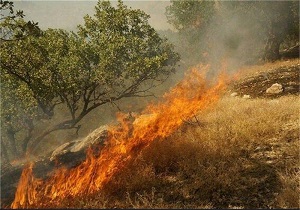 آتش گرفتن ۳ هکتار از اراضی بکر در روستای طزره + فیلم