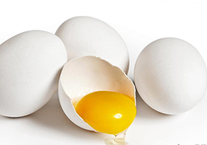 دانسته‌هایی در مورد تخم مرغ