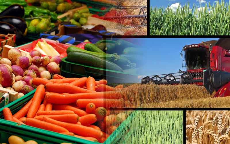 نرخ خرید تضمینی ۲۵ قلم محصول کشاورزی مورد رضایت تولید‌کنندگان نیست