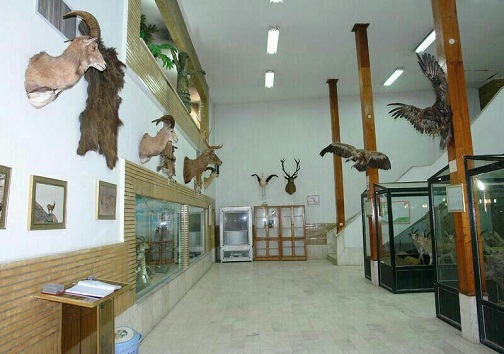 بازدید از موزه یاسوج برای عموم مردم رایگان است