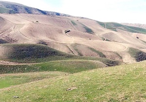 انعقاد ۱۰۰ فقره قرارداد در بخش‌های آبخیزداری و حفاظت از عرصه‌های ملی