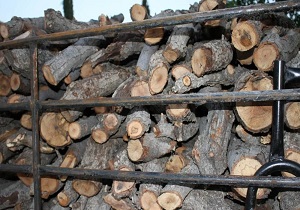 جریمه میلیونی قاچاقچی چوب در قزوین