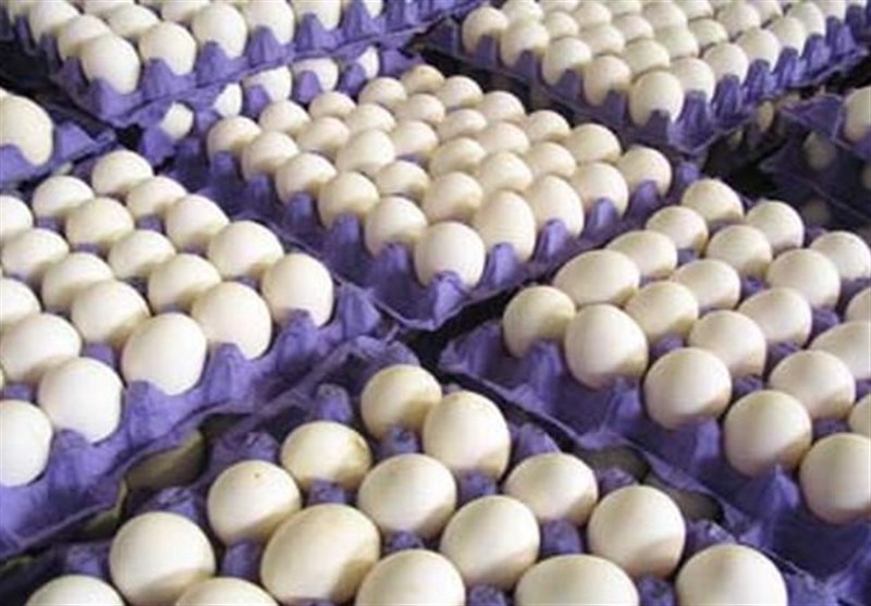 خرید توافقی تخم مرغ متوقف شد/ افزایش ۳۰۰ تومانی نرخ تخم مرغ در بازار
