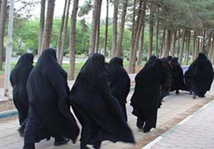 پیاده روی بزرگ خانوادگی برگزار شد