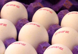 شوخی با درج تاریخ تولید غیرواقعی روی تخم مرغ‌ها + فیلم