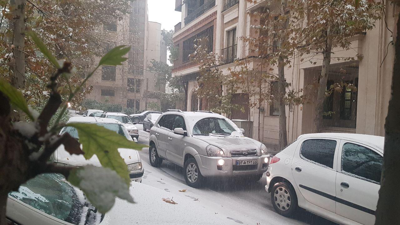 بارش برف تهران را قفل کرد/ شهرداری تهران غافلگیر شد+ فیلم و عکس