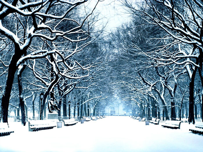 عکس های بسیار زیبا از فصل زمستان