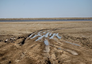 تاثیرات زیست محیطی خشکی تالاب گاوخونی