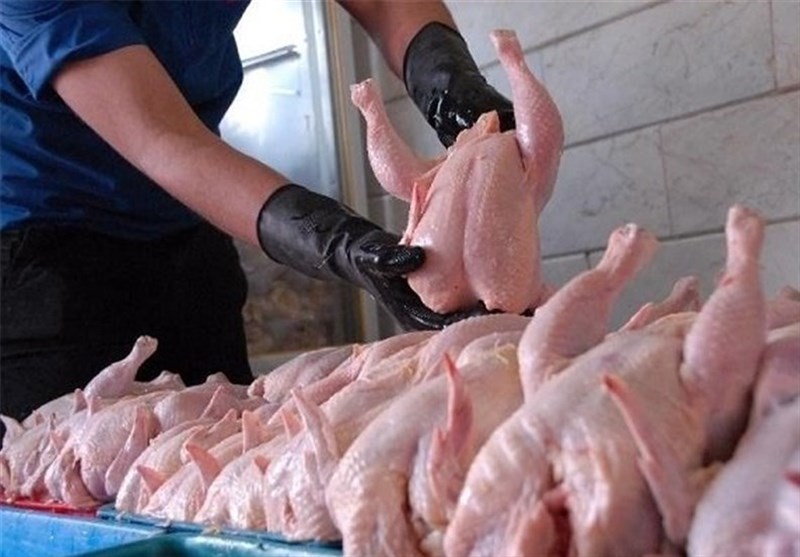 روند کاهشی قیمت مرغ در بازار ادامه دار شد/ قیمت هر کیلو مرغ ۱۲ هزار و ۵۰۰ تومان