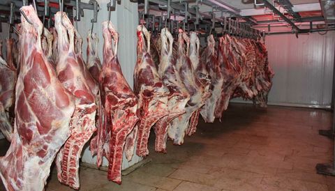 آغاز توزیع گوشت قرمز با قیمت مصوب در مشهد