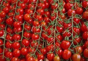 افزایش ۲۰ درصدی قیمت گوجه در بازار یزد/ صادرات علت اصلی گرانی گوجه