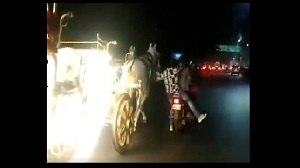 اقدام خطرناک سرنشینان موتورسیکلت برای رام کردن اسب‌ها!