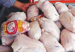 تولید سالانه ۴۳ هزار تن گوشت مرغ در استان اردبیل