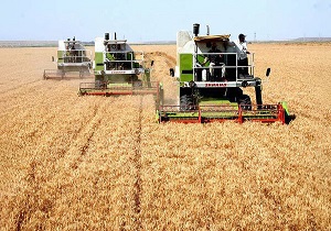باید تولید محصولات کشاورزی در کردستان افزایش یابد