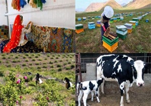اختصاص ۱۵۰ میلیارد تومان اعتبار اشتغال روستایی در لرستان