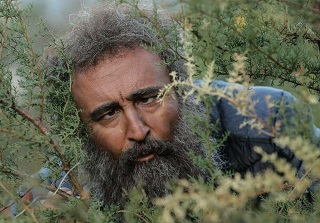 عکس مهران احمدی در سکانسی از سریال «پایتخت ۶»
