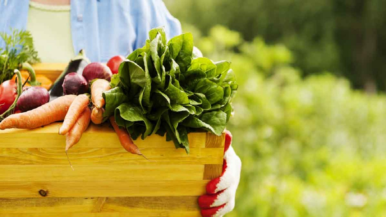 صادرات محصولات کشاورزی در داورزن ۸ درصد افزایش یافت