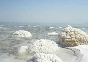 نمک اکوسیستم دریا توسط پارک علم و فناوری کرمانشاه تولید شد