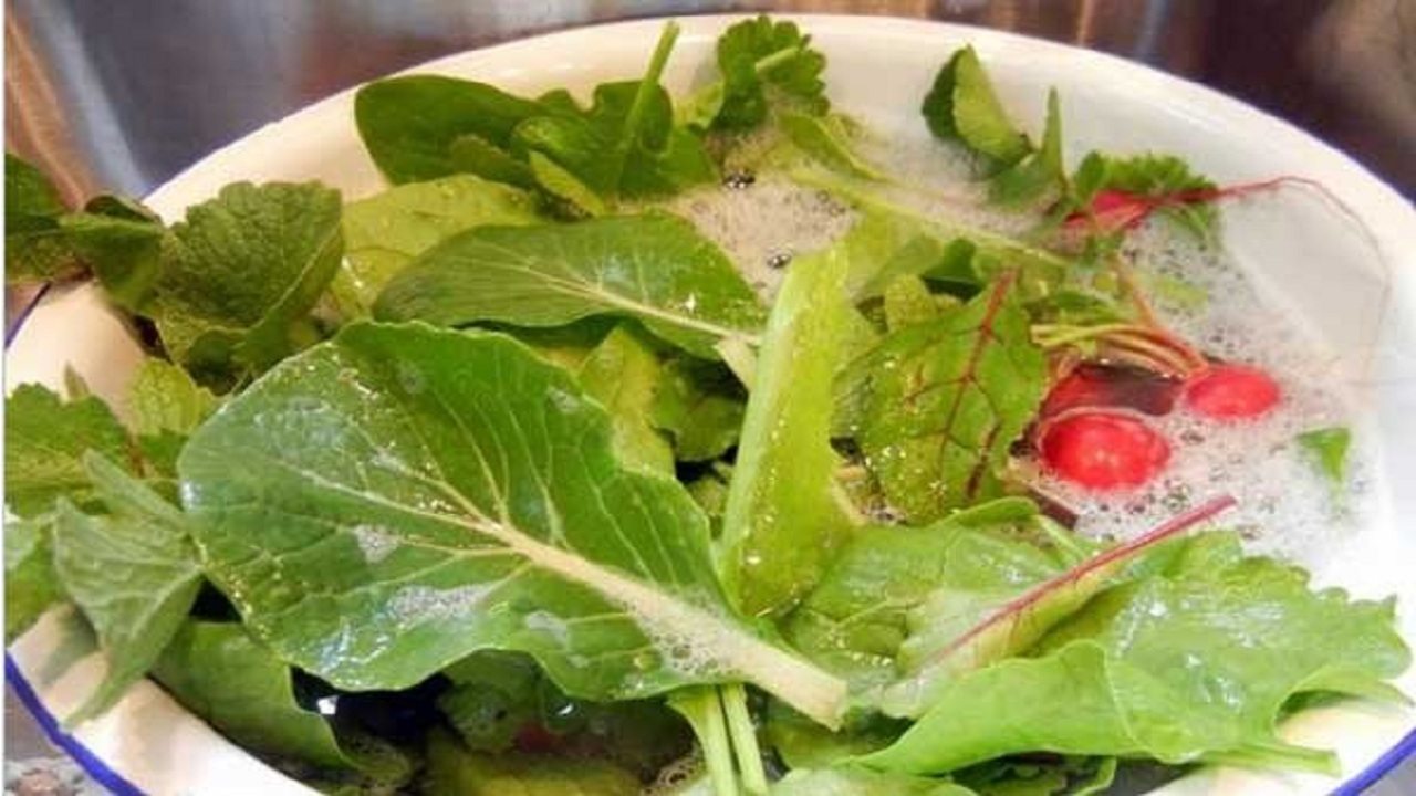 میوه و سبزی را با آب و چند قطره مایع ظرفشویی ضدعفونی کنید
