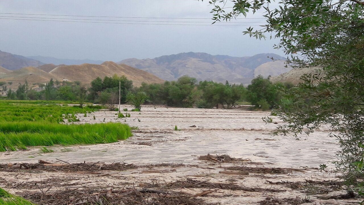 سیلاب و تگرگ چه میزان خسارت به بخش کشاورزی مشهد وارد کرد؟