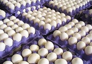 بیش ۵ تن تخم‌مرغ فاقد مجوز در الیگودرز کشف شد
